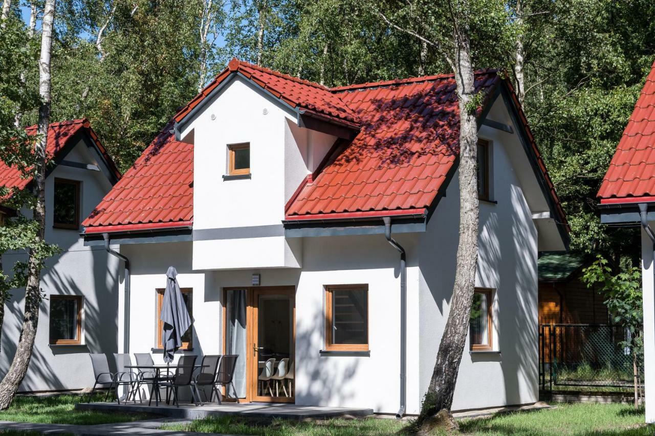 Nowe Komfortowe Domki Albatros Łeba Buitenkant foto